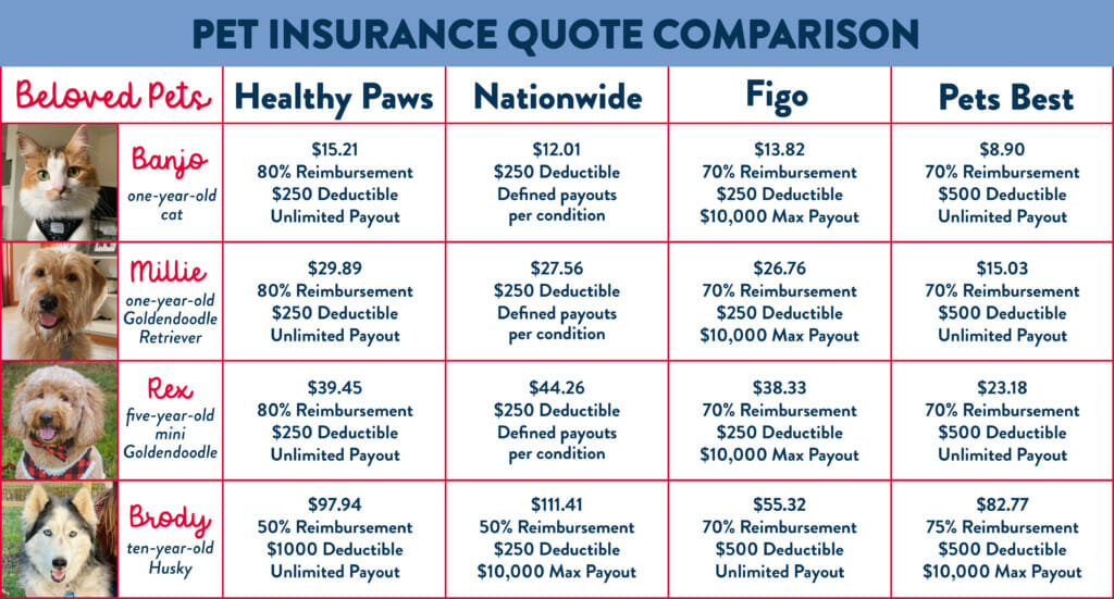 Nationwide Pet Insurance